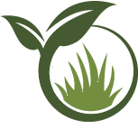 Dans Artificial Grass
